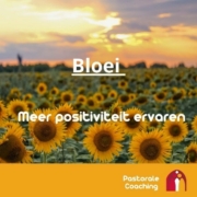 Bloei Bijbelstudie coaching voor meer positiviteit